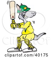 Kangaroo Batting During A Game Of Cricket