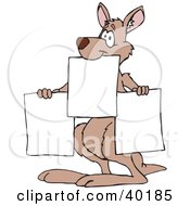 Kangaroo Holding Up Three Blank Signs