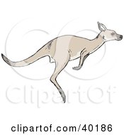 Clipart Illustration Of A Hopping Kangaroo In Profile