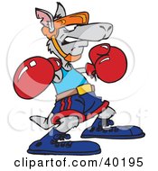 Poster, Art Print Of Gray Boxing Kangaroo