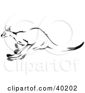 Poster, Art Print Of Black And White Leaping Kangaroo Sketch