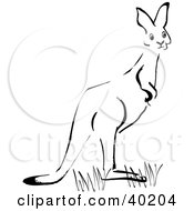 Clipart Illustration Of A Black And White Sketch Of A Kangaroo In Grass