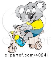 Poster, Art Print Of Koala Kid Riding A Trike