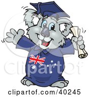 Poster, Art Print Of Smart Graduating Koala In An Aussie Gown Holding A Diploma