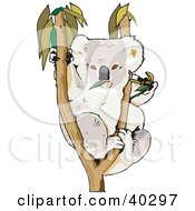 Clipart Illustration Of A Koala Munching On Leaves In A Tree