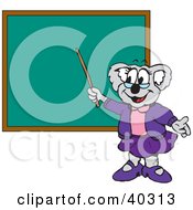 Clipart Illustration Of A Koala School Teacher Pointing To A Blank Chalk Board