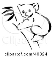 Poster, Art Print Of Black And White Coloring Book Page Of A Koala In A Tree