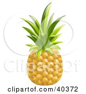 Clipart Illustration Of A Whole Organic Pineapple