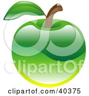 Poster, Art Print Of Shiny Organic Green Apple