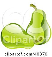 Poster, Art Print Of Shiny Organic Green Pears