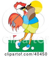 Poster, Art Print Of Male Rooster In Clothes Swinging His Golf Club