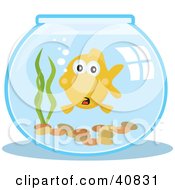 Poster, Art Print Of Surprised Goldfish In A Fish Bowl