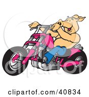 Clipart Illustration Of A Happy Pig Riding A Pink Chopper by Snowy