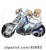 Poster, Art Print Of Young Blond Biker Dude In Shades Riding His Blue Chopper