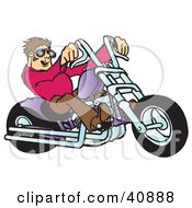 Poster, Art Print Of Young Brunette Biker Dude In Shades Riding His Purple Chopper