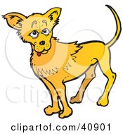 Clipart Illustration Of A Friendly Yellow Chihuahua Dog by Snowy
