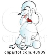 Clipart Illustration Of A Happy And Relaxed White Poodle Wearing A Collar And Sitting by Snowy