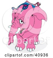 Curious Pink Circus Elephant In Riding Gear