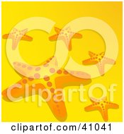 Poster, Art Print Of Scattered Starfish On Yellow