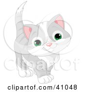 Poster, Art Print Of Adorable Green Eyed Gray Kitten Looking Curiously At The Viewer