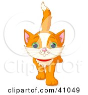 Clipart Illustration Of A Cute And Curious Orange Kitten Walking Forward by Pushkin