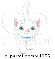 Poster, Art Print Of Cute And Curious White Kitten Walking Forward