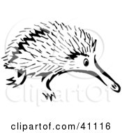 Clipart Illustration Of A Black And White Sketch Of An Echidna by Dennis Holmes Designs