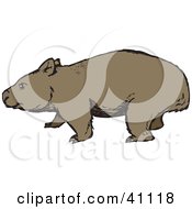 Wandering Brown Wombat In Profile