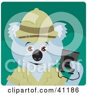 Poster, Art Print Of Koala Bear Explorer Character