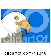 Poster, Art Print Of Majestic Bald Eagle Head Over A Blue Background