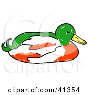 Poster, Art Print Of Green White And Red Duck Nesting