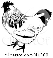 Poster, Art Print Of Black And White Sketch Of A Chicken
