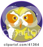 Poster, Art Print Of Focused Owl Head Against A Starry Sky