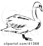 Clipart Illustration Of A Black And White Profile Sketch Of A Swan by Prawny