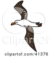 Poster, Art Print Of White And Brown Albatross In Flight