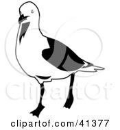 Black And White Sketch Of A Walking Seagull