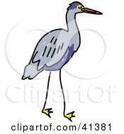Gray Heron With A Blue Belly