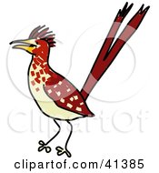 Alert Brown Roadrunner Bird