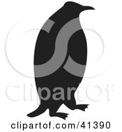 Poster, Art Print Of Black Penguin Silhouette