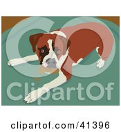 Clipart Illustration Of A Boxer Dog Caught Chewing Something Up