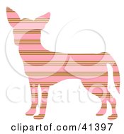 Pink And Brown Profiled Chihuahua Dog With Horizontal Stripes