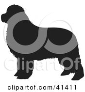 Black Silhouetted Newfoundland Dog Profile