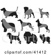 Nine Black Silhouetted Dog Profiles