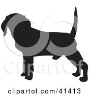 Black Silhouetted Beagle Dog Profile