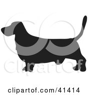 Poster, Art Print Of Black Silhouetted Basset Hound Dog Profile
