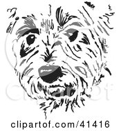 Black And White Sketch Of A Terrier Dog Face
