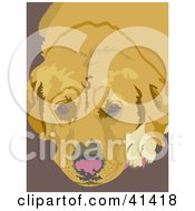 Poster, Art Print Of Tired Golden Labrador Dog Resting