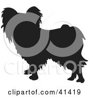 Black Silhouetted Papillon Dog Profile