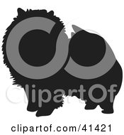 Clipart Illustration Of A Black Silhouetted Pomeranian Dog Profile