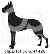 Black Silhouetted Great Dane Dog Profile